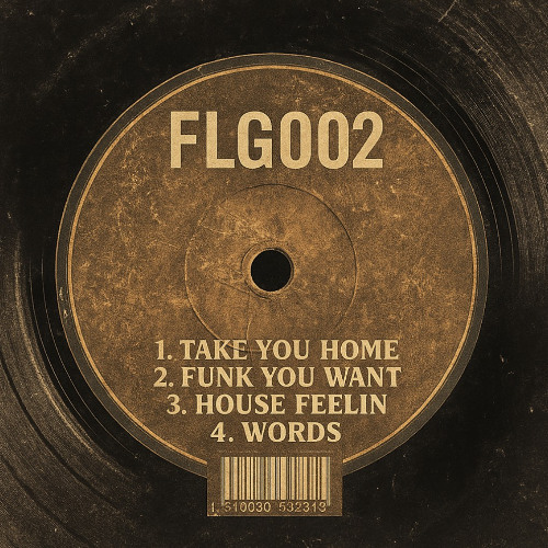 Funk You Want (BANDCAMP)