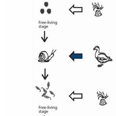 Life, It Comes And Goes