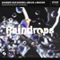 Sander van Doorn x Selva x Macon - Raindrops (feat. Chacel) Nimesh Jadav Remix