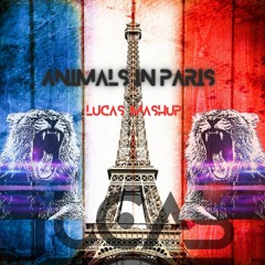 Animals In Paris - LUCAS MASHUP