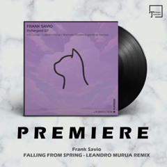 PREMIERE: Frank Savio - Falling From Spring (Leandro Murua Remix) [PURRFECTION]