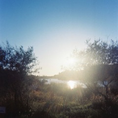 Enchanted Lands @ Waking Life - Tudo Bem