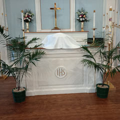 Palm Sunday - April 13 2025