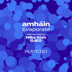 Evaporate (Mike Rish Remix)