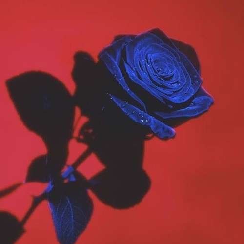 d4vd- romantic homicide (Postcard Remix)