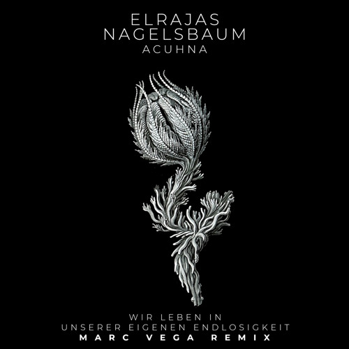 Elrajas, Nagelsbaum, Acuhna - Wir leben in unserer eigenen Endlosigkeit (unstimmig Remix)