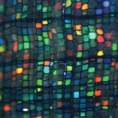 Opal (2024)