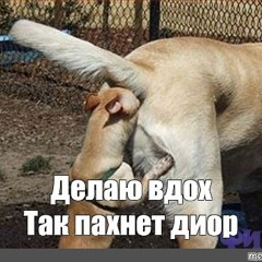 джеркделаювдохмясопорно