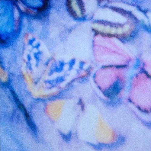 never really wanted me huh?(prod. internet user)