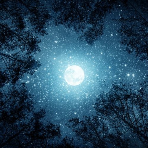 Blue Moon (cover)