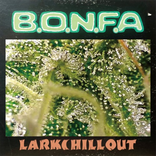 B.O.N.F.A. Pt.1