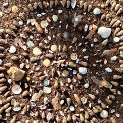 Eternally Youthful - Linguistic and Historical Dance Podcast