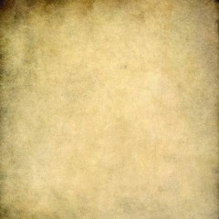 TOOK MY ZO (KBO & Starr)