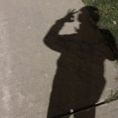 Self Destructive/ Never Enough