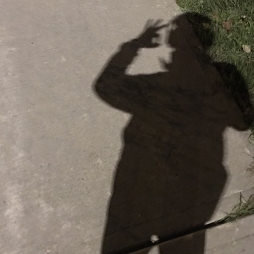 Self Destructive/ Never Enough