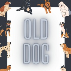 Old Dog