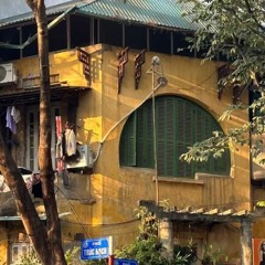 TÌNH YÊU MÀU NẮNG - hoà tấu nhạc cụ dân tộc