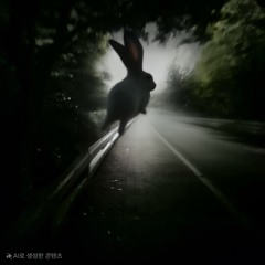 P A S T D E M O + D E K I