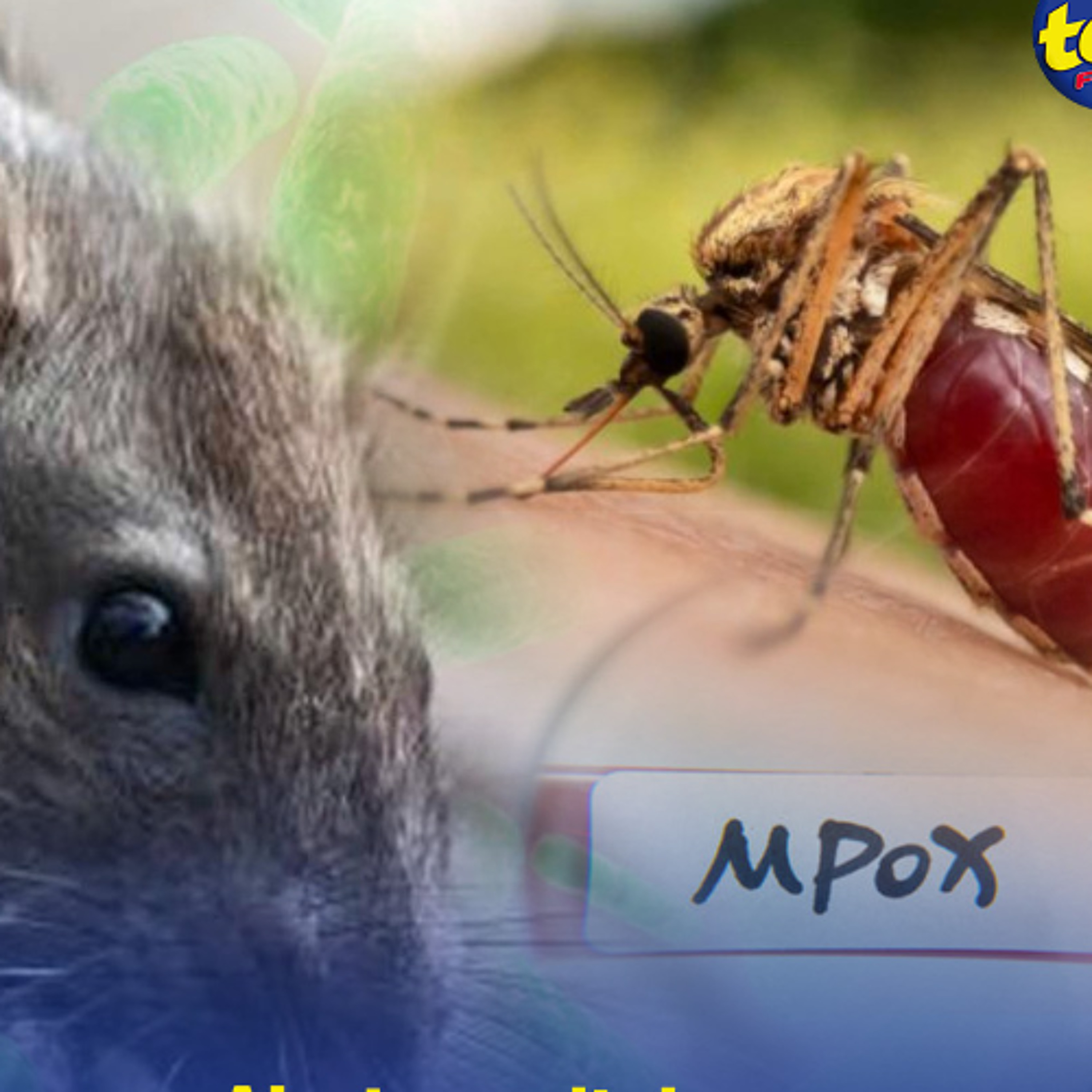 Alerte sanitaire  : 20 cas de leptospirose dont 2 actifs, 41 cas de chikungunya en 24 heures et 2 cas de mpox