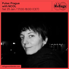 Pulse: Prague - NCOL - 25 Jan 2025
