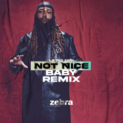 Partynexdoor - not nice (Baby Rema Remix by Lifted Erik)