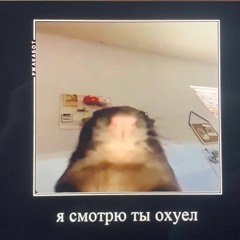 на дршку