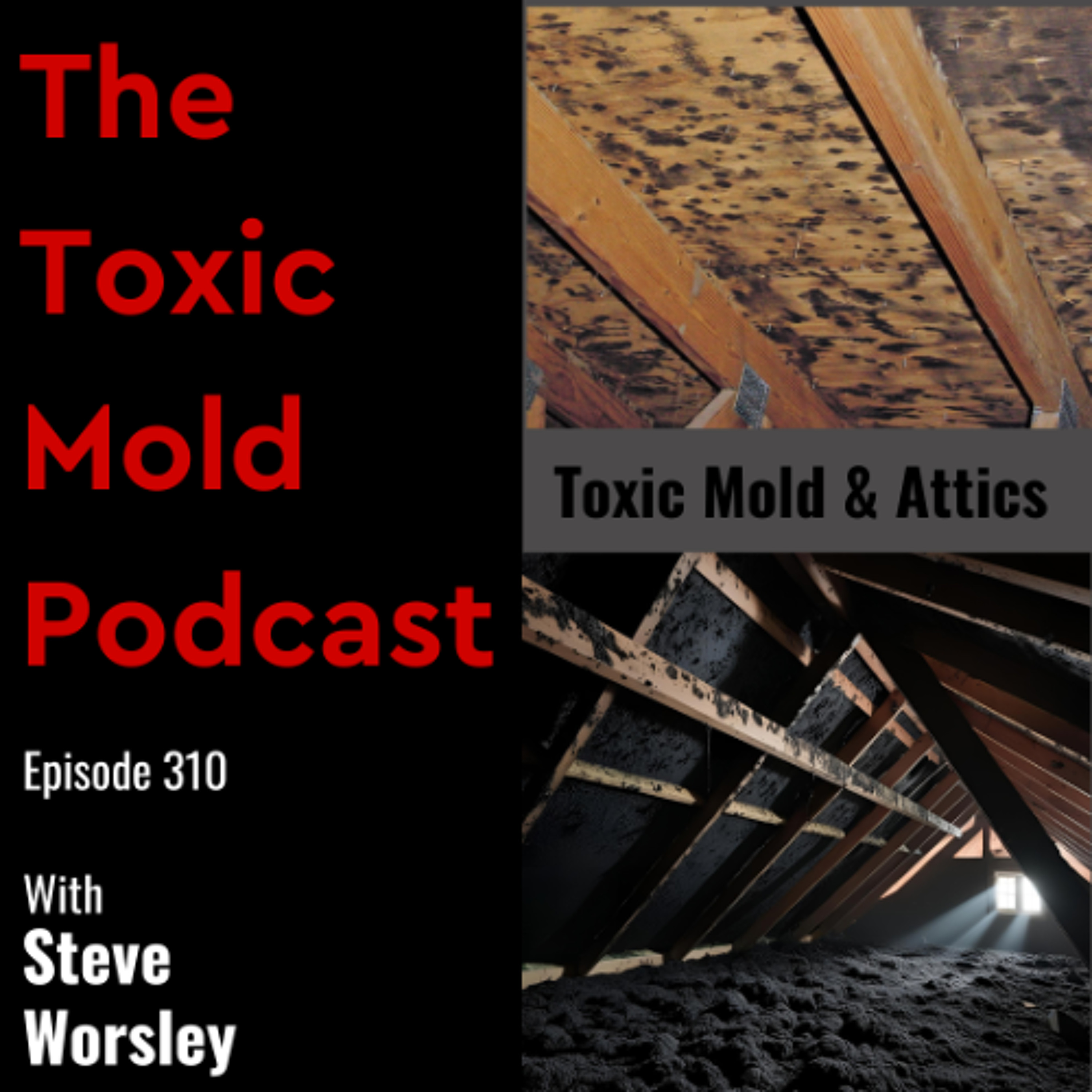 EP 310: Toxic Mold and Attics
