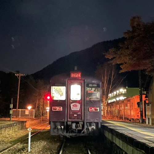 ブロンズシティ【わたらせ渓谷鉄道】
