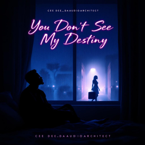 You Don't See My Destiny