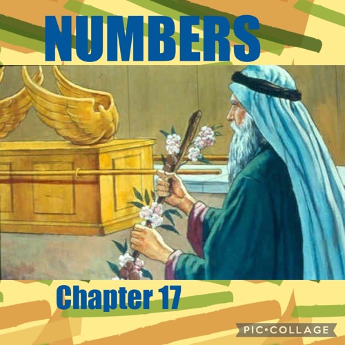 Stream Numbers 17 - The Budding of Aaron’s Rod by COGA Knows His Word ...
