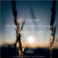 halF overnighT [naviarhaiku367]