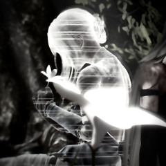 i bet on losing dogs (loop)