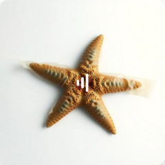 DE KERN VAN ZARÁN PII Freek Banning ‪@freek-banning-freestyle‬ (D-sidel)