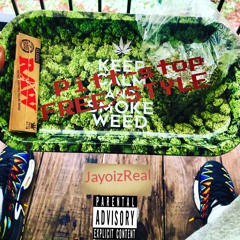 Pitt Stopp Freestyle