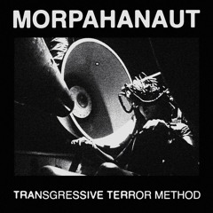 TRANSGRESSIVE TERROR METHOD