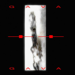gava + + gavA