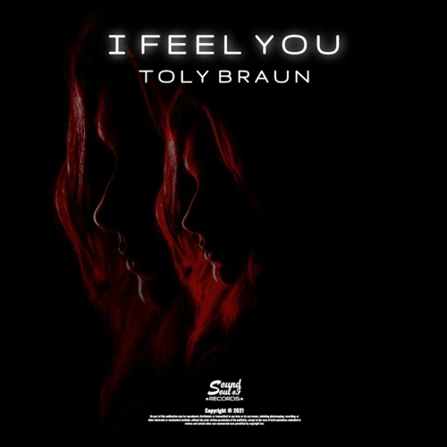 Toly Braun - I Feel You