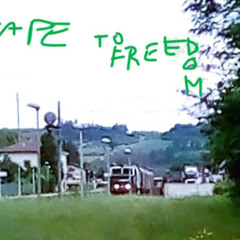 Escape to freedom