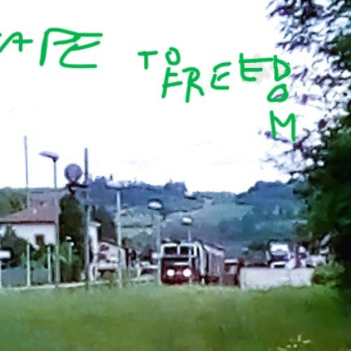Escape to freedom
