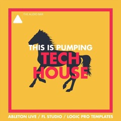 This Is Pumping FL Studio Tech House Template