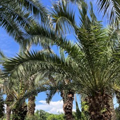 [COVER] 떠나 (Prod. PATEKO)