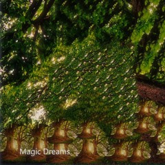 Magic Dreams