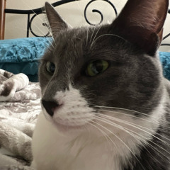 Edward Maya Feat Vika Jigulina - Love of My Life (Eddie Genita Remix) 128 BPM