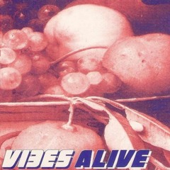 Nick Warren - Vibes Alive - Lakota, Bristol - Summer 1993