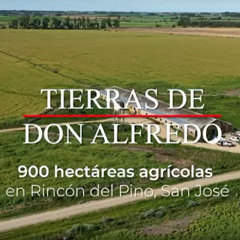 Pablo Reyes - Venta de campo en Rinvón del Pino