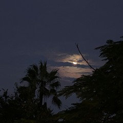 Still Deepening (2025) for alto saxophone and live electronics