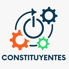 Constituyentes Sistema Sin políticos