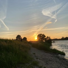 stress-free sunday #004