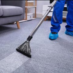 What Are the Benefits of Regular Carpet Cleaning for Businesses?