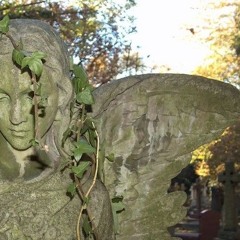 a veces le pregunto a las estrellas cosas (prod.michael harrison)